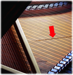 cracked soundboard