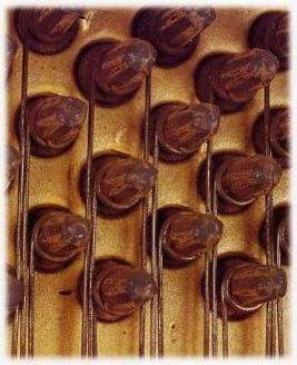 rusted pins